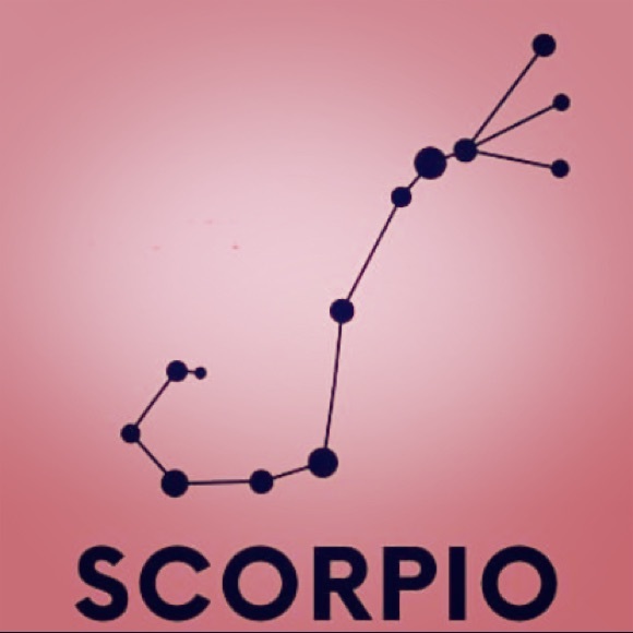 Meet your Posher, Nina - Picture 1 of 1